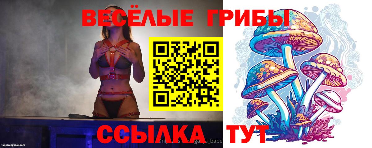 Галлюциногенные грибы Psilocybine cubensis  где купить наркотик  Советск  Галлюциногенные грибы Magic Shrooms  Вход с VPN 