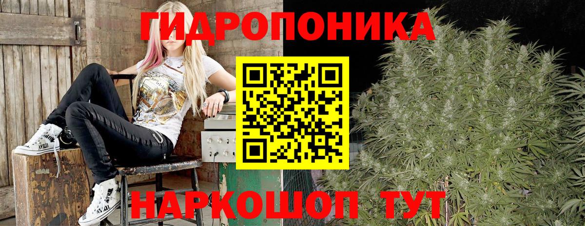 Бошки Шишки индика Советск